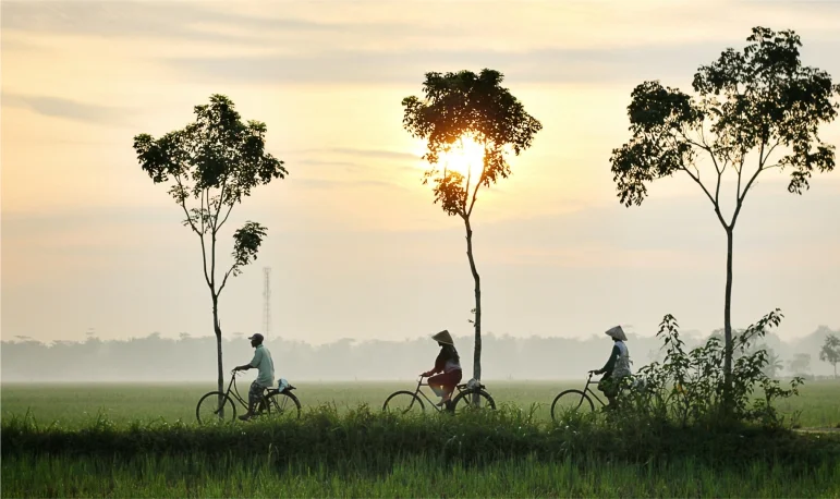 Kota, Desa dan Corona