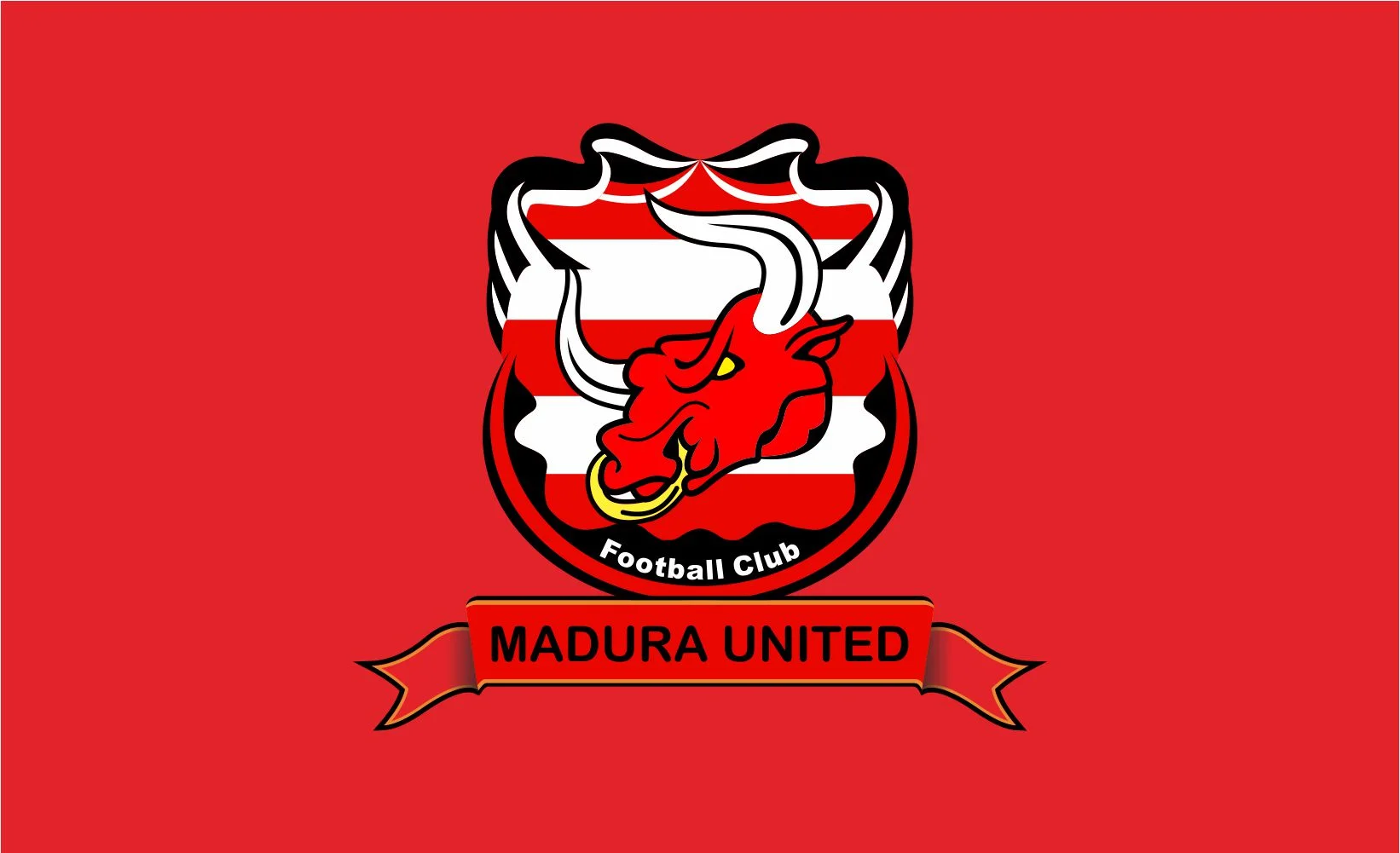 Madura United sayangkan ketidakjelasan kompetisi usia muda