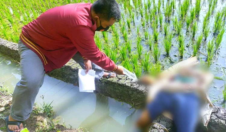 Seorang Nenek di Tuban Tewas Tersengat Listrik Jebakan Tikus