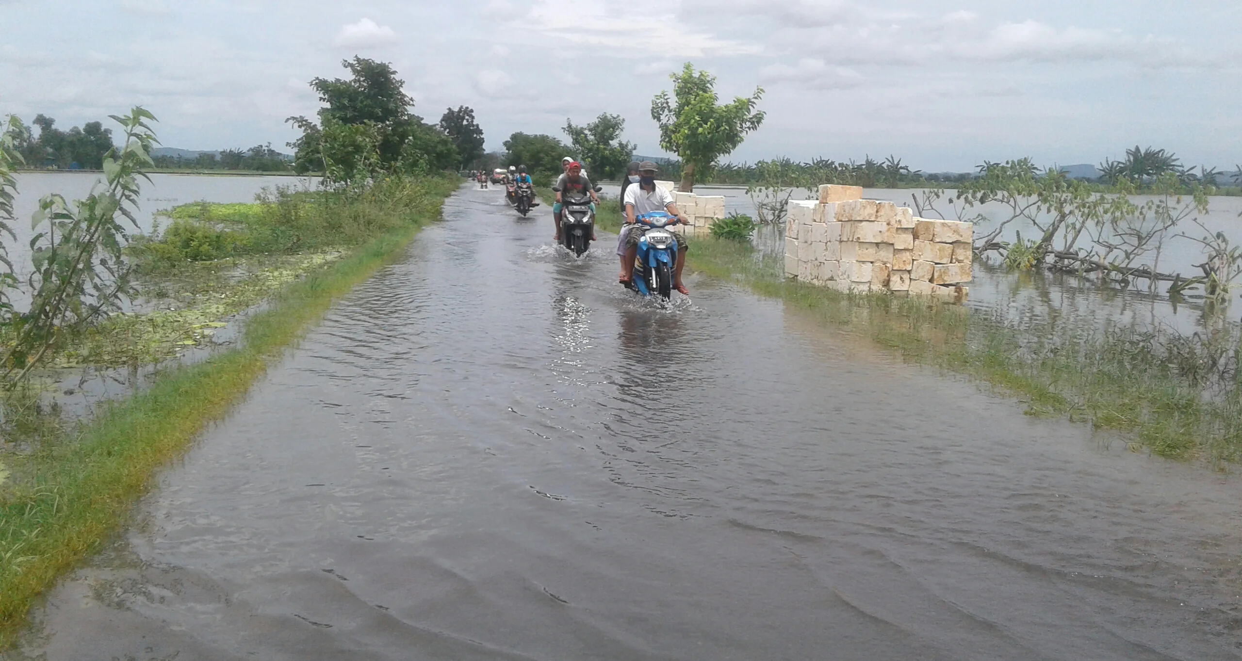 Terendam Banjir, Ratusan Hektar Sawah di Plumpang Teracam Gagal Panen