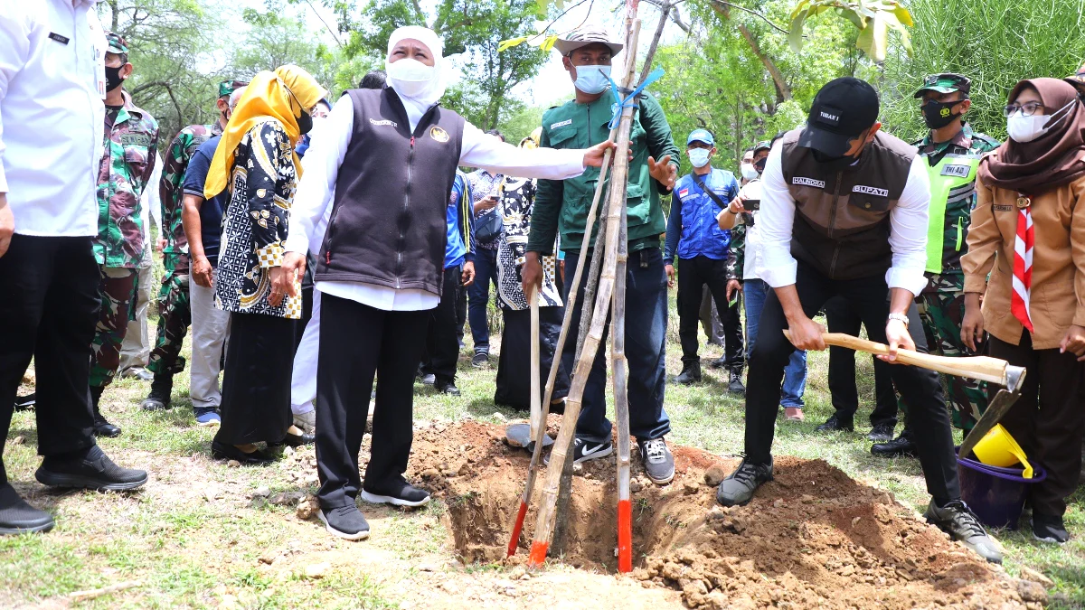 Pulihkan Ekosistem, Gubernur Khofifah Bersama Pemkab Tuban Tanam Pohon dan Lepas Burung di Pantai Sowan