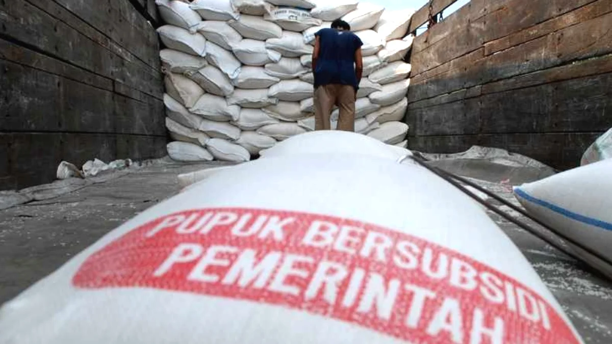 Petani di Tuban Resah, Pupuk Subsidi Langka Tapi Non Subsidi Banyak Dijual, Ada Apa?