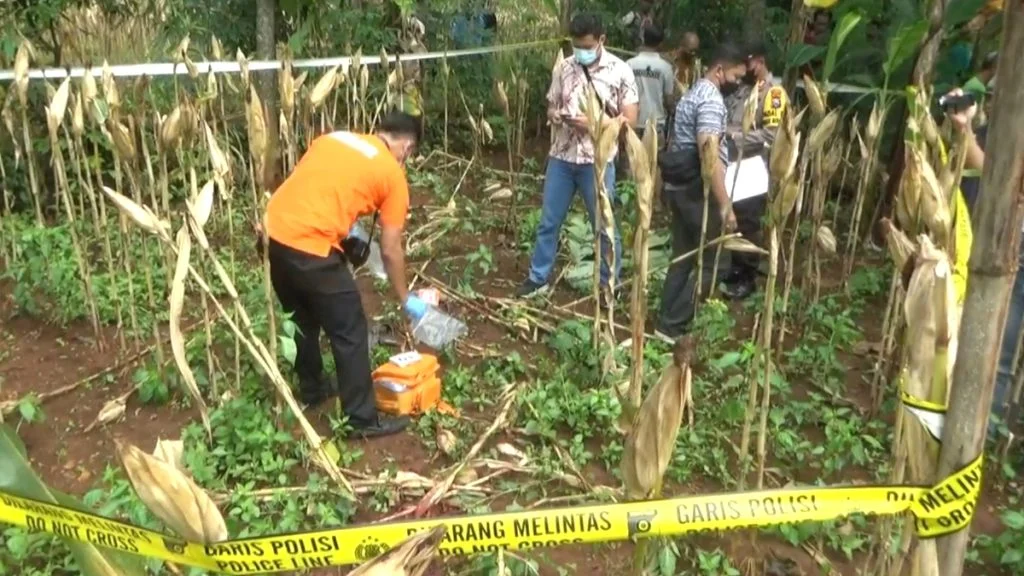 Saling Lempar Bangkai Ayam, Keponakan Tebas Perut Pamannya Hingga Meninggal Dunia