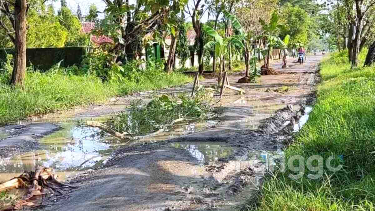 Tak Kunjung Diperbaiki, Jalan Perbatasan Senori-Parengan Tuban di Tanami Pohon Pisang