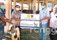 Lagi, UTSG Tuban Salurkan Hewan Qurban Kepada Masyarakat