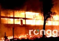 Kandang dan Ribuan Ayam di Tuban Hangus Terbakar, Pemilik Rugi Milyaran Rupiah