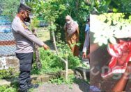 Tangisan Bayi Baru Lahir Gegerkan Warga Bojonegoro, Diduga Dibuang Orang Tuanya