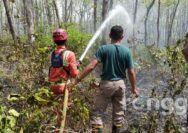 Kebakaran Hutan Jati Pakah Tuban Mencapai 3 Hektar, Diduga Karena Ulah Oknum