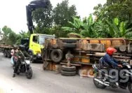 Pengemudi Ngantuk, Truk Pengangkut Ayam Tabrak Pohon dan PJU Lalu Terjun ke Parit