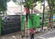 Kabel Induk Didepan Kantor Dinkes Tuban Terbakar, Sempat Bikin Cemas Warga