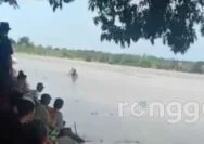 Sedang Mandi, Kakek di Tuban Diduga Tenggelam di Sungai Bengawan Solo