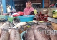 Dampak Cuaca Ektrem, Harga Ikan Segar di Pasar Bojonegoro Merangkak Naik