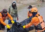 Empat Hari Dikabarkan Tenggelam di Bengawan Solo, Kakek di Tuban Ditemukan di Lamongan