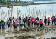 Puluhan Mahasiswa Unesa Berjibaku Tanam Pohon Mangrove di Pantai Kelapa Tuban
