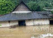 Kali Kening Meluap, Puluhan Rumah dan Sawah Warga di Tuban Terendam Banjir