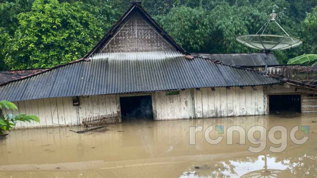 Kali Kening Meluap, Puluhan Rumah dan Sawah Warga di Tuban Terendam Banjir