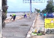 Ironis, Pekerja Rehabilitasi Trotoar di Jalur Nasional Tuban Diduga Tak kenakan APD