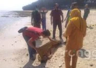 Niat Hati Terapi di Pantai Pasir Putih Tuban, Seorang Kakek Malah Meninggal