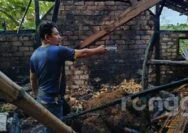 Kandang Ternak di Tuban Hangus Terbakar, 3 Ekor Sapi Nyaris Terpanggang