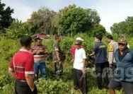 Seorang Lansia Meninggal Mendadak di Pekarangan di Tuban