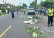 Usai Cari Rumput, Petani Meregang Nyawa di Jalur Pantura Tuban