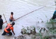 Bocah asal Tuban dikabarkan Tenggelam di Sungai Pacal Bojonegoro