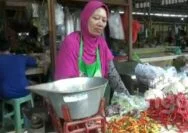 Hargai Cabai Rawit di Tuban Makin Pedas, Tembus Rp70 Ribu Sekilo