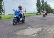 Jalan Rusak Tak Kunjung Diperbaiki, DPRD Tuban Ancam Tanam Pohon Pisang