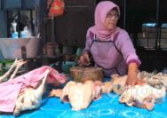 Jelang Ramadhan, Harga Daging Ayam di Pasar Bojonegoro Merangkak Naik