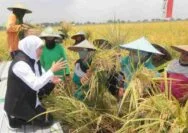 Petani di Tuban Ramai-Ramai Wadul ke Gubernur Soal Bantuan Modal dan Harga Pupuk