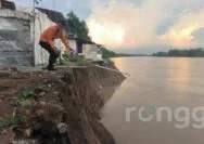 Ancaman Longsor Intai Permukiman Warga di Bantaran Bengawan Solo Bojonegoro