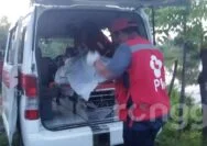 Jasad Pria Ditemukan Membusuk di Tambak Udang di Tuban