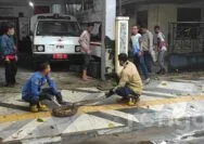 Ular Sepanjang 3 Meter Bersarang Didepan Kantor PMI Bojonegoro