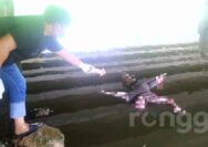 Pria Berkalung Sarung Ditemukan Mengapung di Sungai Widang Tuban