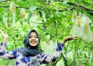 Agrowisata Kebun Belimbing, Jadi Salah Satu Wisata Edukasi di Kabupaten Tuban