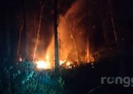 Diduga Ulah Oknum, Lahan Perhutani Tuban Seluas 5,0 Hektar Terbakar