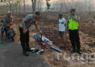 Ngebut, Pemuda Asal Rembang Kecelakaan di Kawasan Hutan Tuban