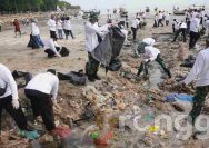 Dimotori Yayasan Wings Peduli, Ratusan Peserta Ramaikan Gerakan Bersih Sampah di Pantai Boom Tuban