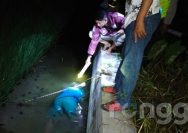 Pamit Cek Padi, Kepala Balai Benih Ikan Banjararum Tuban Tewas di Belakang Kantor