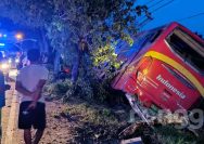 Bus Ngeblong Tabrak 2 Truk di Jalur Pantura Tuban, Satu Orang Meninggal