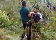 Tertimpa Pohon Tumbang, Pemilik Warung di Kawasan Nglirip Tuban Alami Patah Tulang