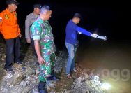 Diduga Terpeleset, Bocah 6 Tahun di Rengel Tuban Tenggelam di Sungai Bengawan Solo