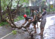 La Nina Picu Cuaca Ekstrim di Tuban