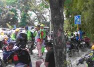 Kartu Akses Kerja Diblokir, 291 Pekerja SIG Tuban Terlantar