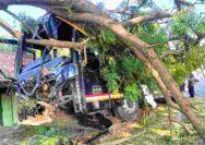 Bus AKAP Oleng Tabrak Pohon di Jalur Pantura Tuban