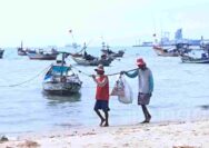 Aktivitas Pelabuhan SIG Tuban Dikeluhkan Nelayan: Laut Tercemar, Jalur Melaut Terganggu
