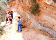 Niat Gali Pasir Kuarsa, Petani Tuban Justru Dikebumikan