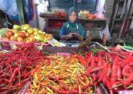 Jelang Natal dan Tahun Baru, Harga Bahan Pokok di Tuban Stabil