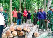 KPH Jatirogo Tuban Gagalkan Aksi Pembalakan Kayu Ilegal, Pelaku Kabur