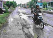 Jalan Widang–Rengel Rusak Berat, Pemkab Tuban Baru Janjikan Perbaikan